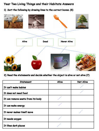 Science Assessments